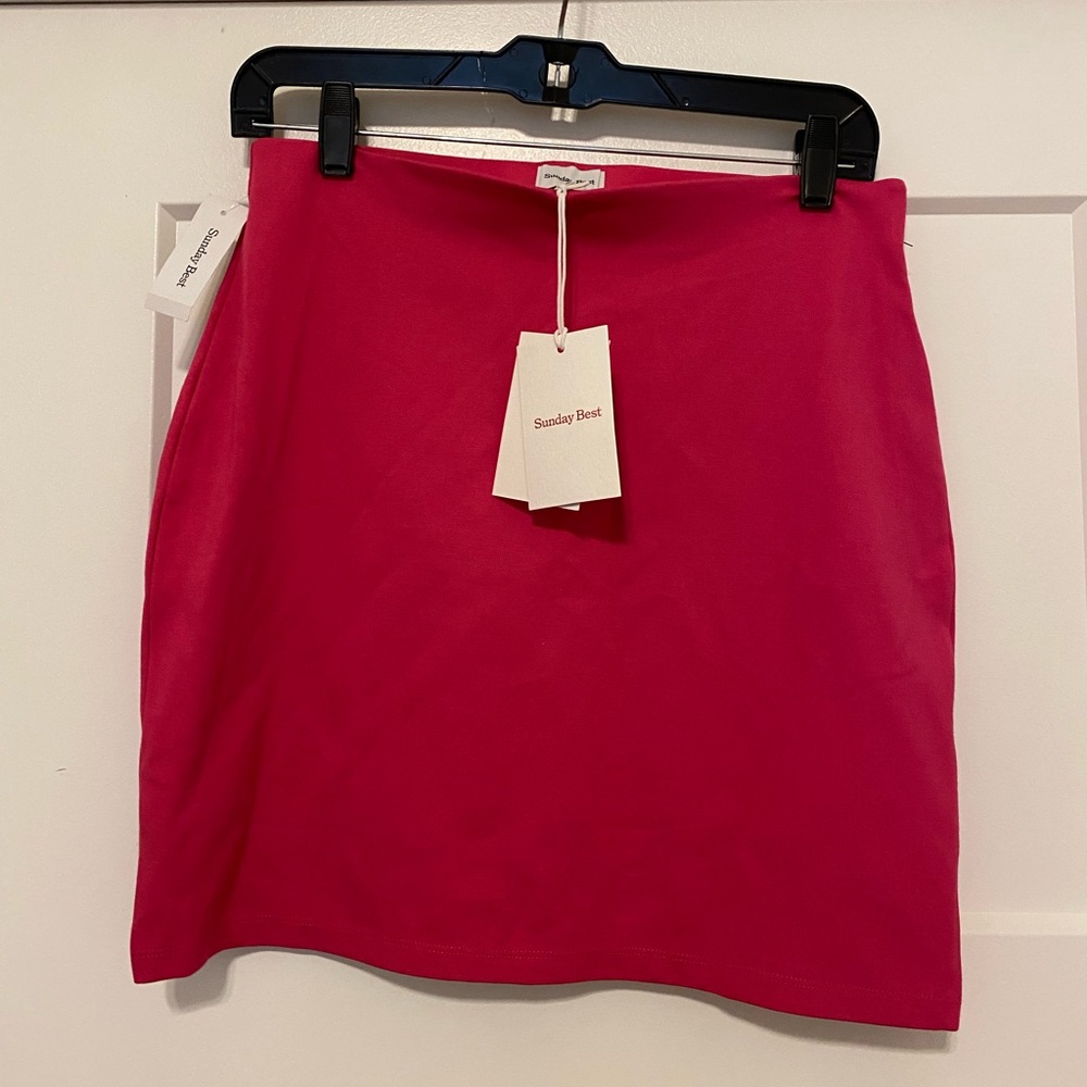 Aritzia Mini Skirt in Bright Pink